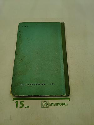 Лесная красавица
