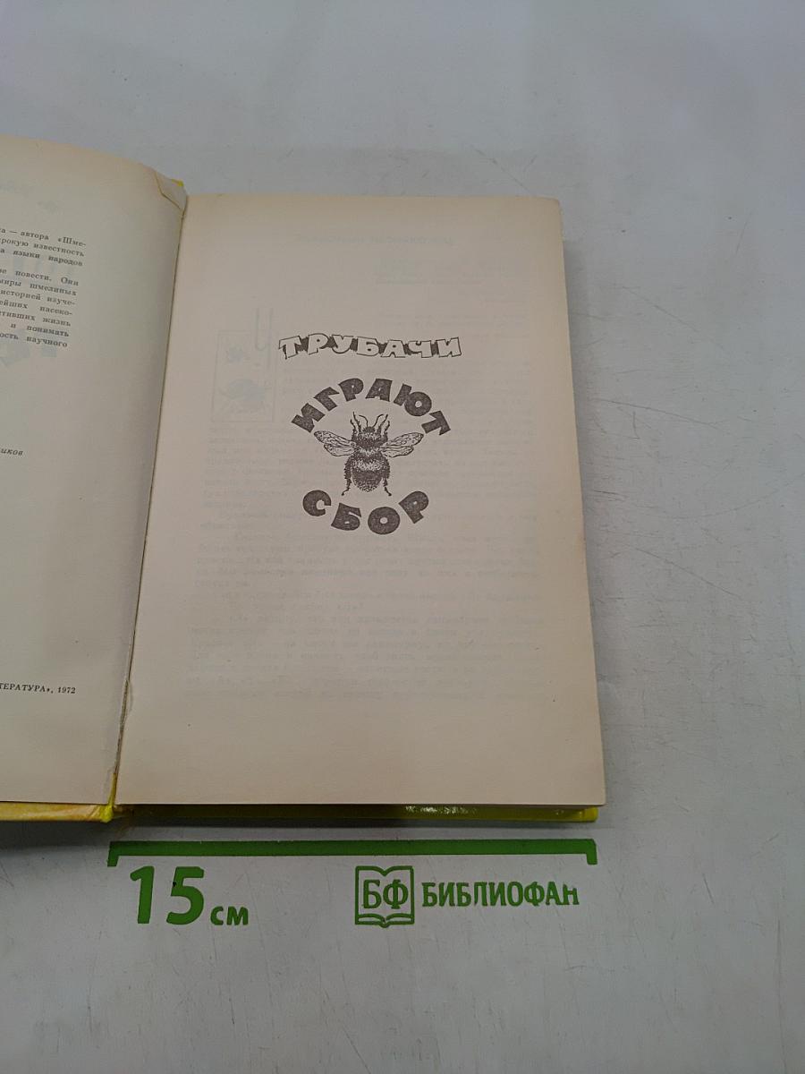 Шмели и термиты