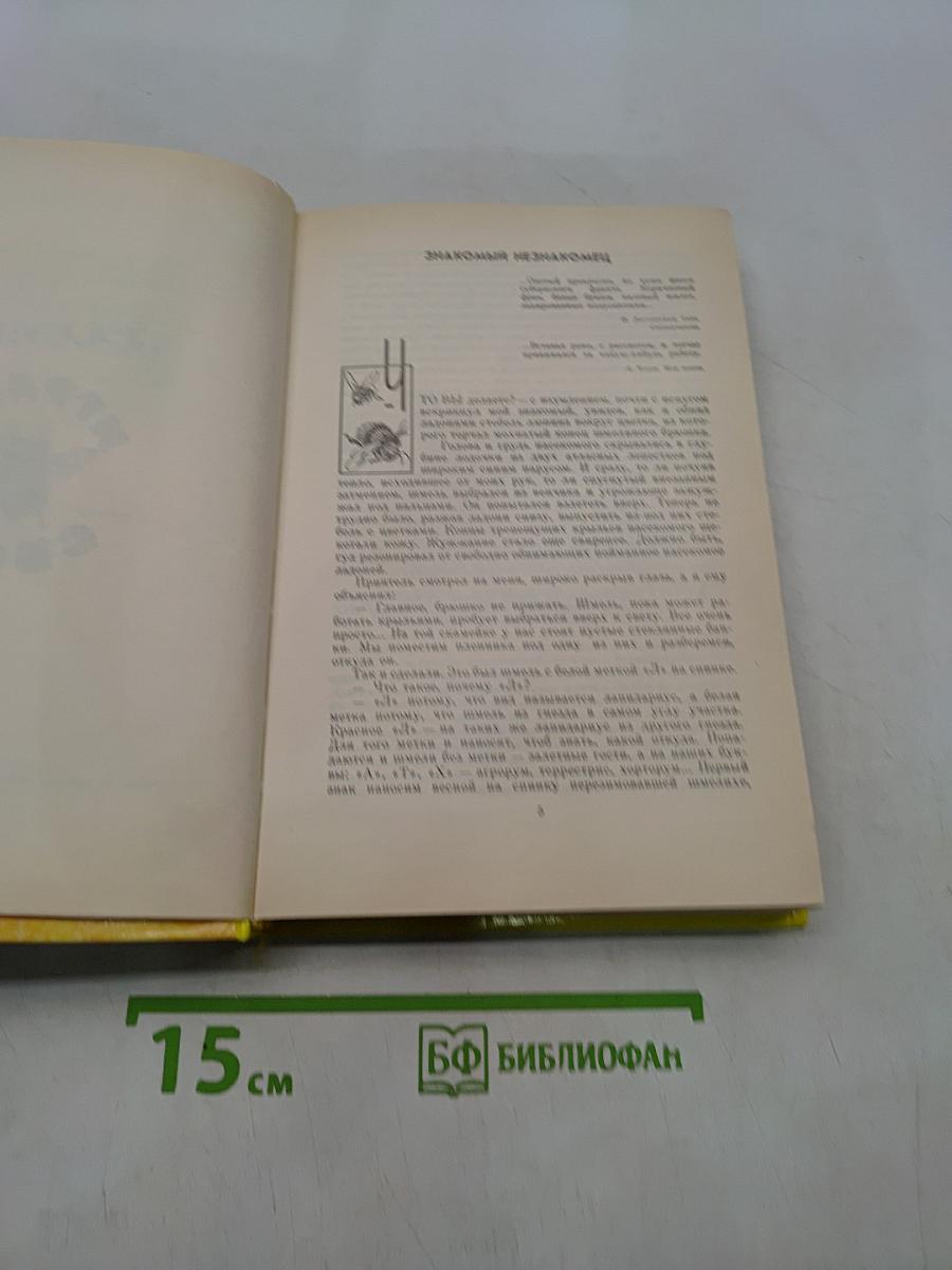 Шмели и термиты