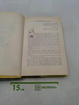 Шмели и термиты