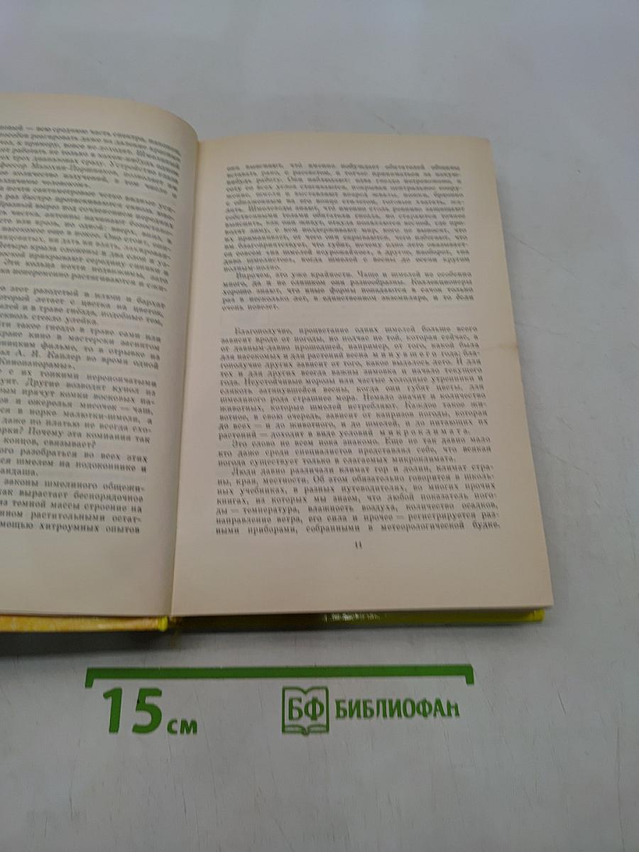 Шмели и термиты