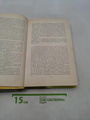 Шмели и термиты