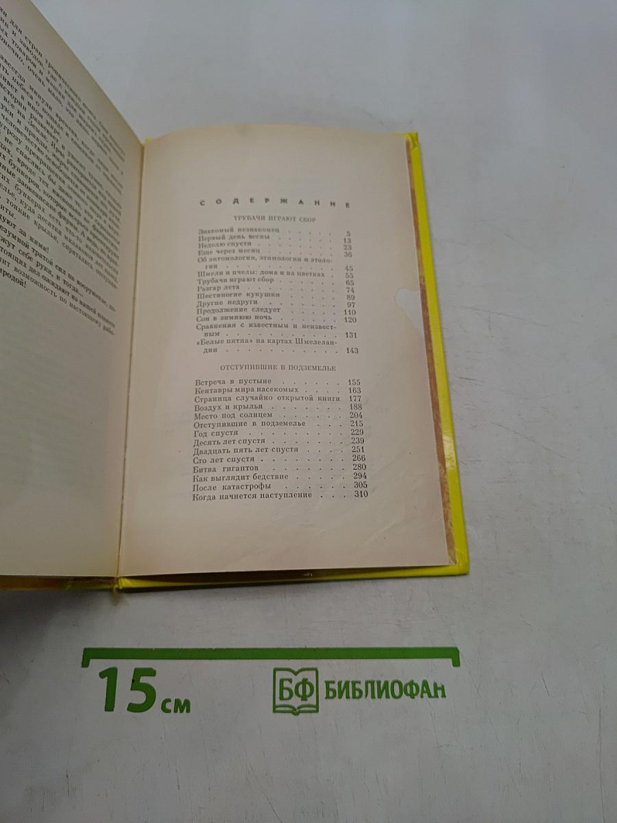Шмели и термиты