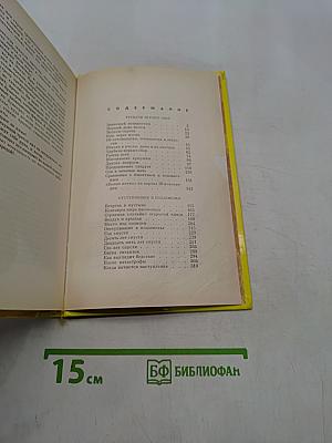 Шмели и термиты