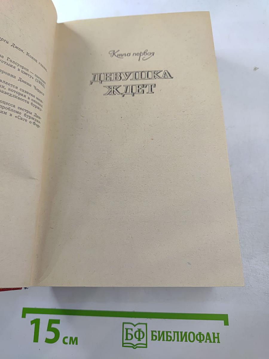 Конец главы