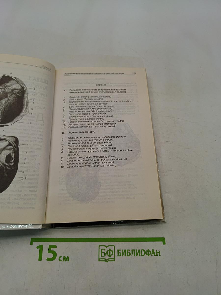 Болезни сердца и сосудов. Самодиагностика и лечение