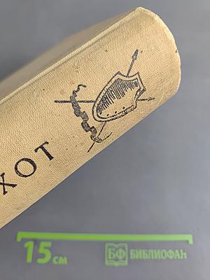 Хитроумный идальго Дон Кихот Ламанчский. Том второй