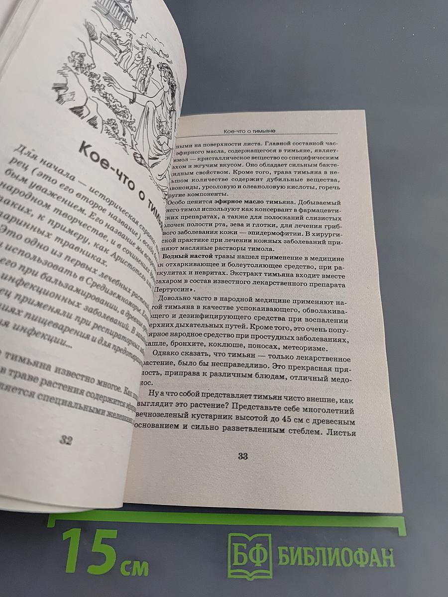 Дачный лечебник. Сельдерей, помидоры, кинза, огурцы, петрушка и другие растения-целители