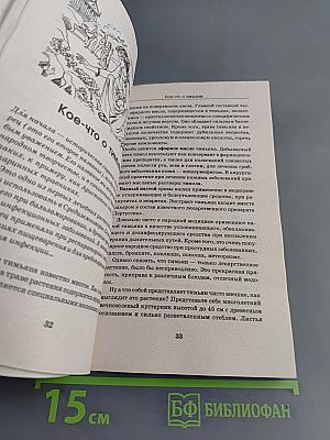 Дачный лечебник. Сельдерей, помидоры, кинза, огурцы, петрушка и другие растения-целители