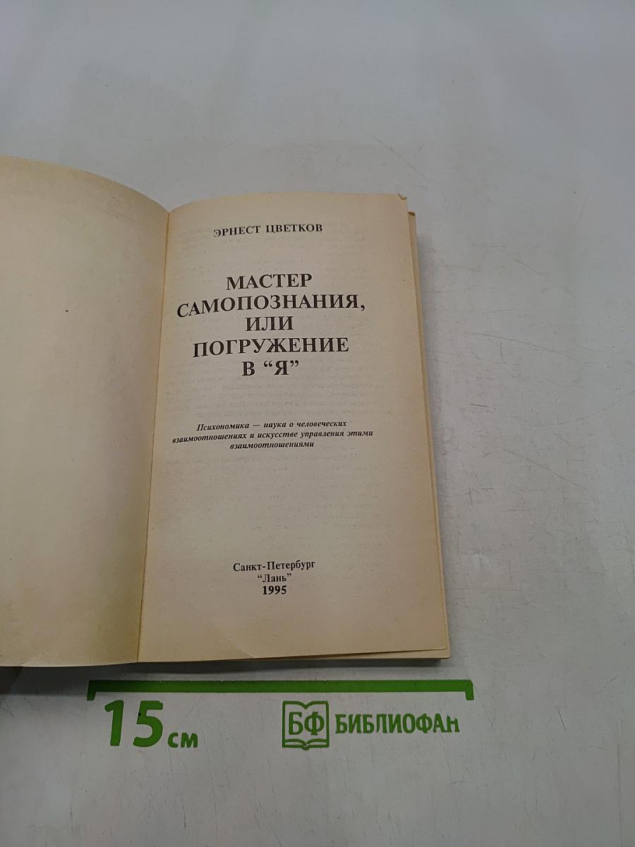 Мастер самопознания, или Погружение в "Я" (психономика)