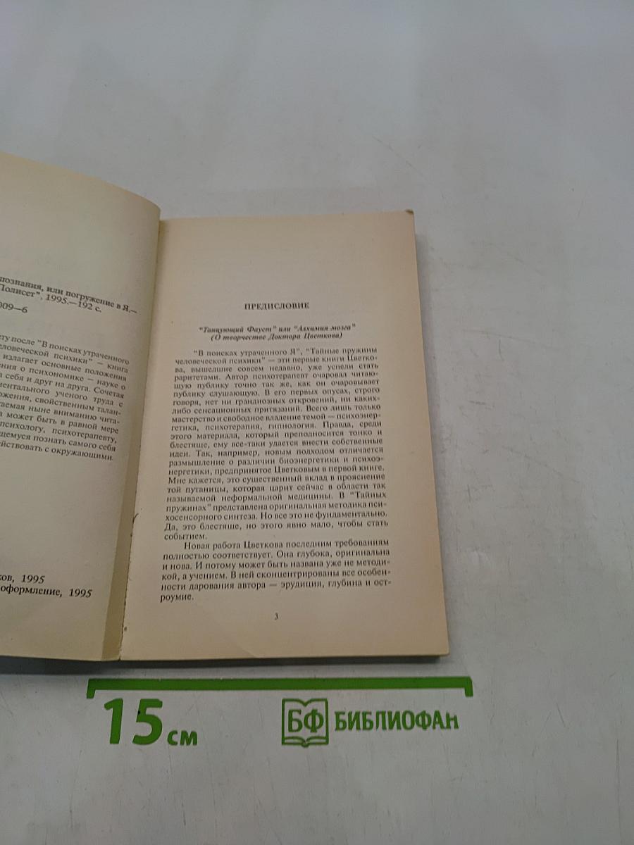 Мастер самопознания, или Погружение в "Я" (психономика)