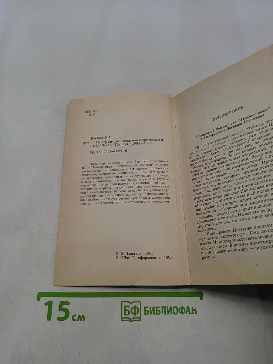 Мастер самопознания, или Погружение в "Я" (психономика)