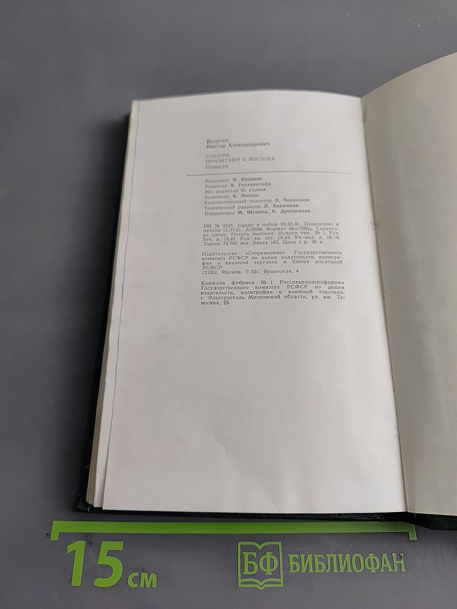Соколы прилетают с Востока