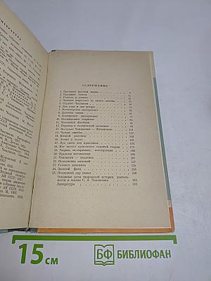 Чаплыгин
