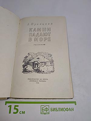 Камни падают в море