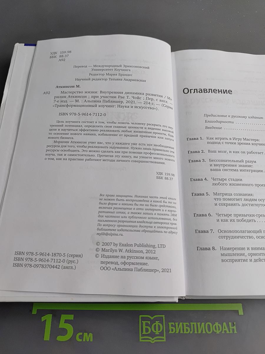 Мастерство жизни. Внутренняя динамика развития