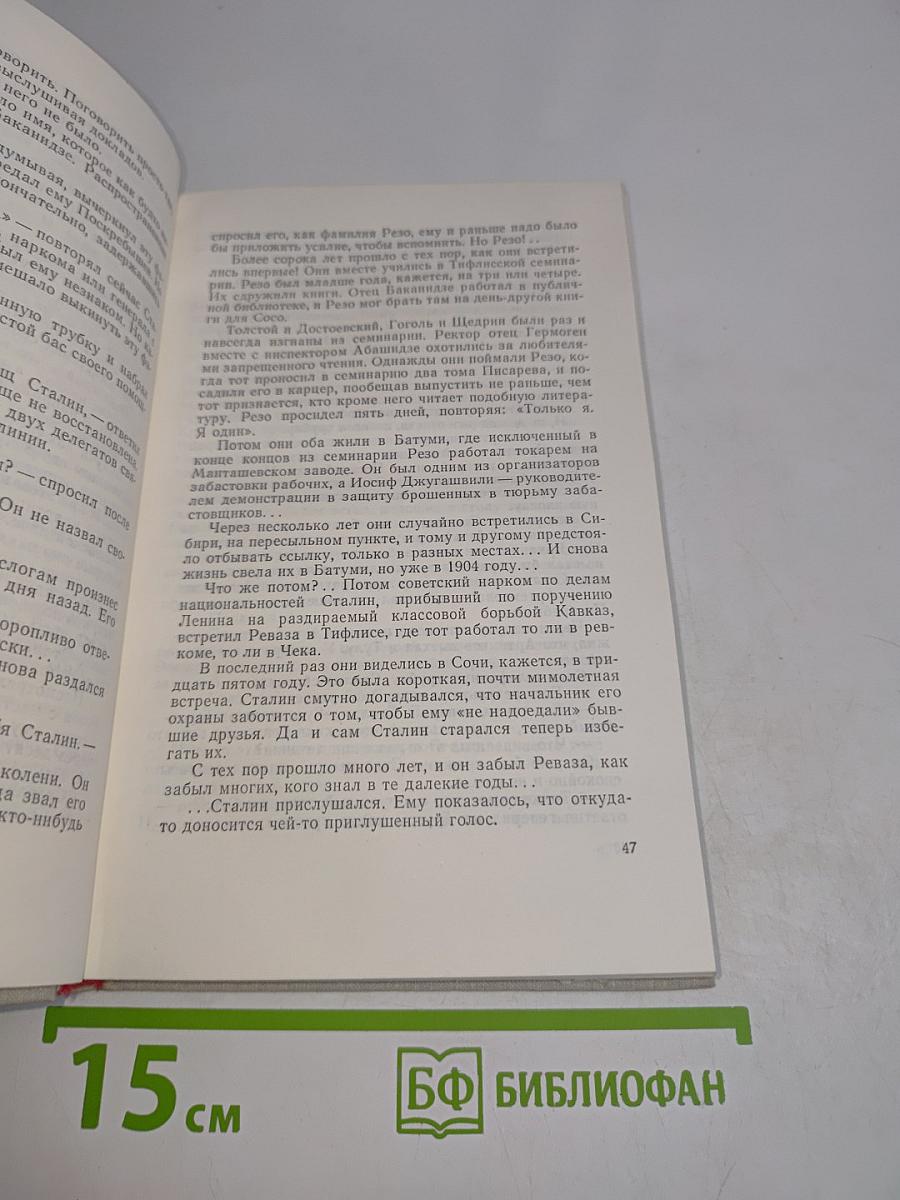 Блокада. Книга четвертая