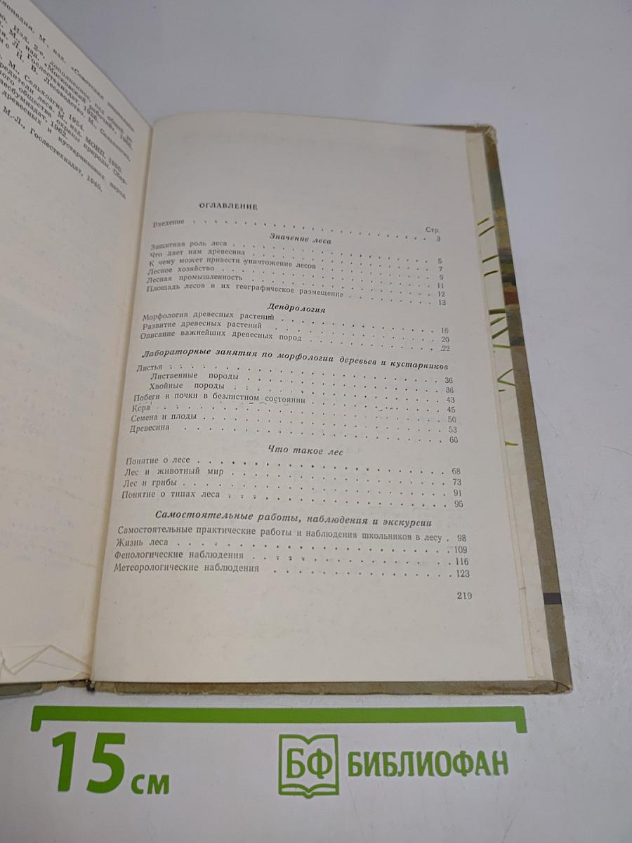 Школьниккам о лесе
