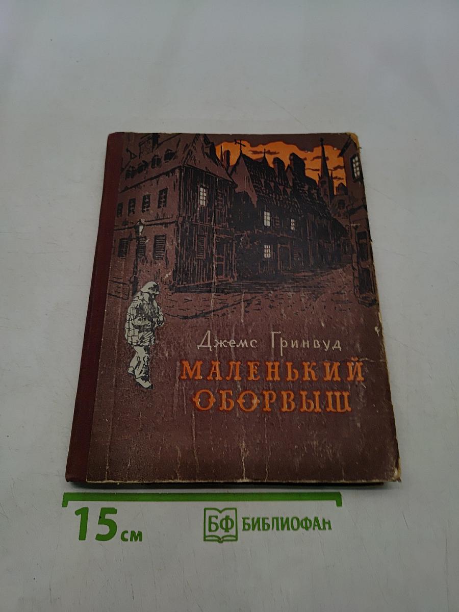 Маленький оборвыш