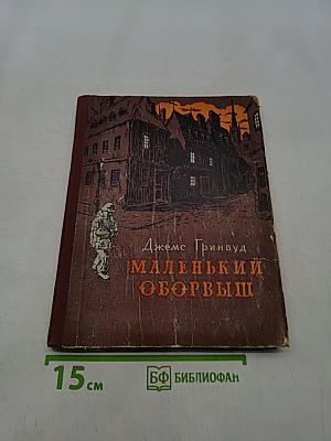Маленький оборвыш