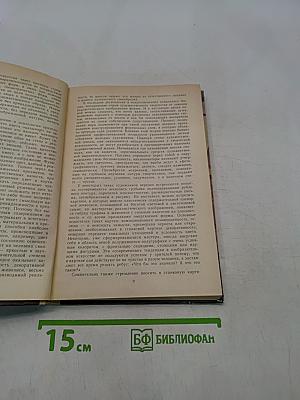Живопись