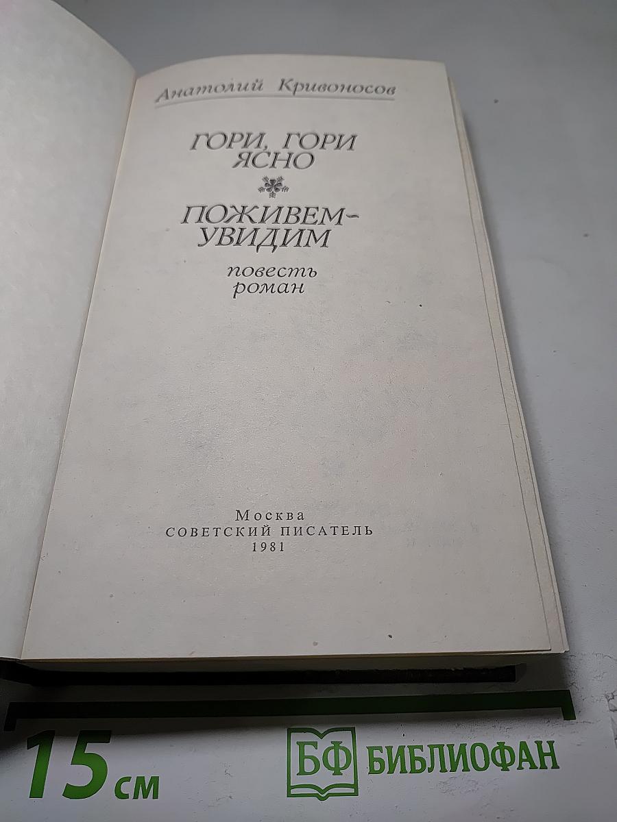 Гори, гори ясно. Поживем-увидим
