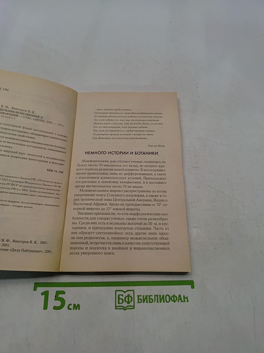 Можжевельник исцеляющий и омолаживающий
