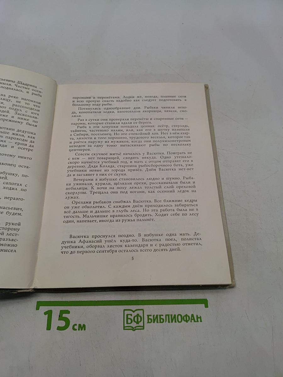 Конь с розовой гривой