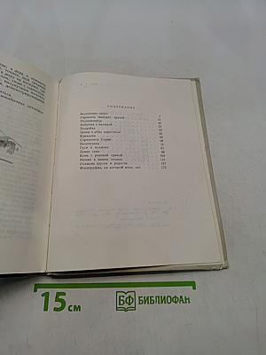 Конь с розовой гривой