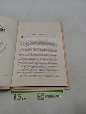 Поющий бархан