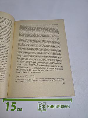 Комнатные цветочные растения