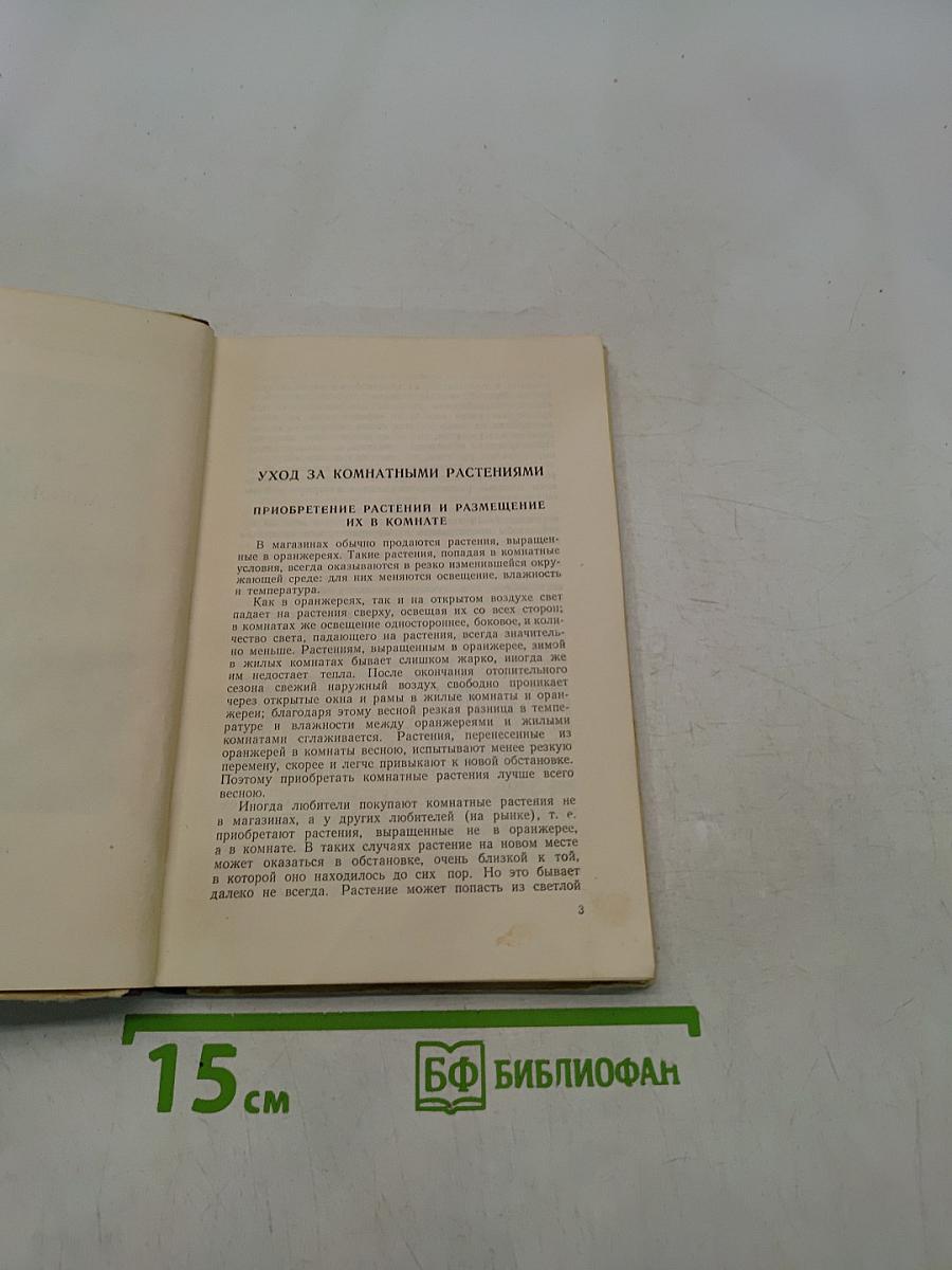 Комнатные и балконные растения