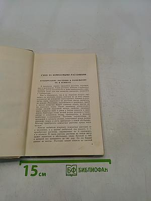 Комнатные и балконные растения