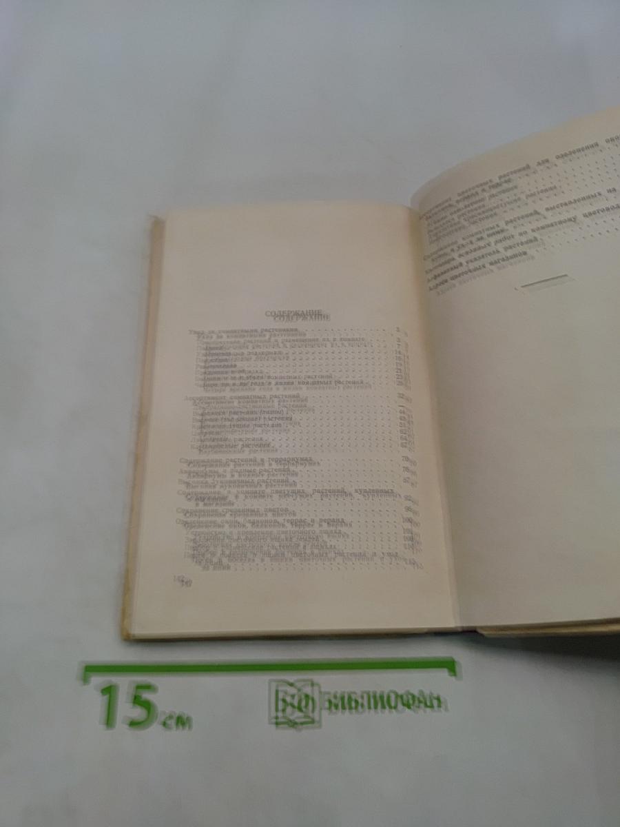 Комнатные и балконные растения