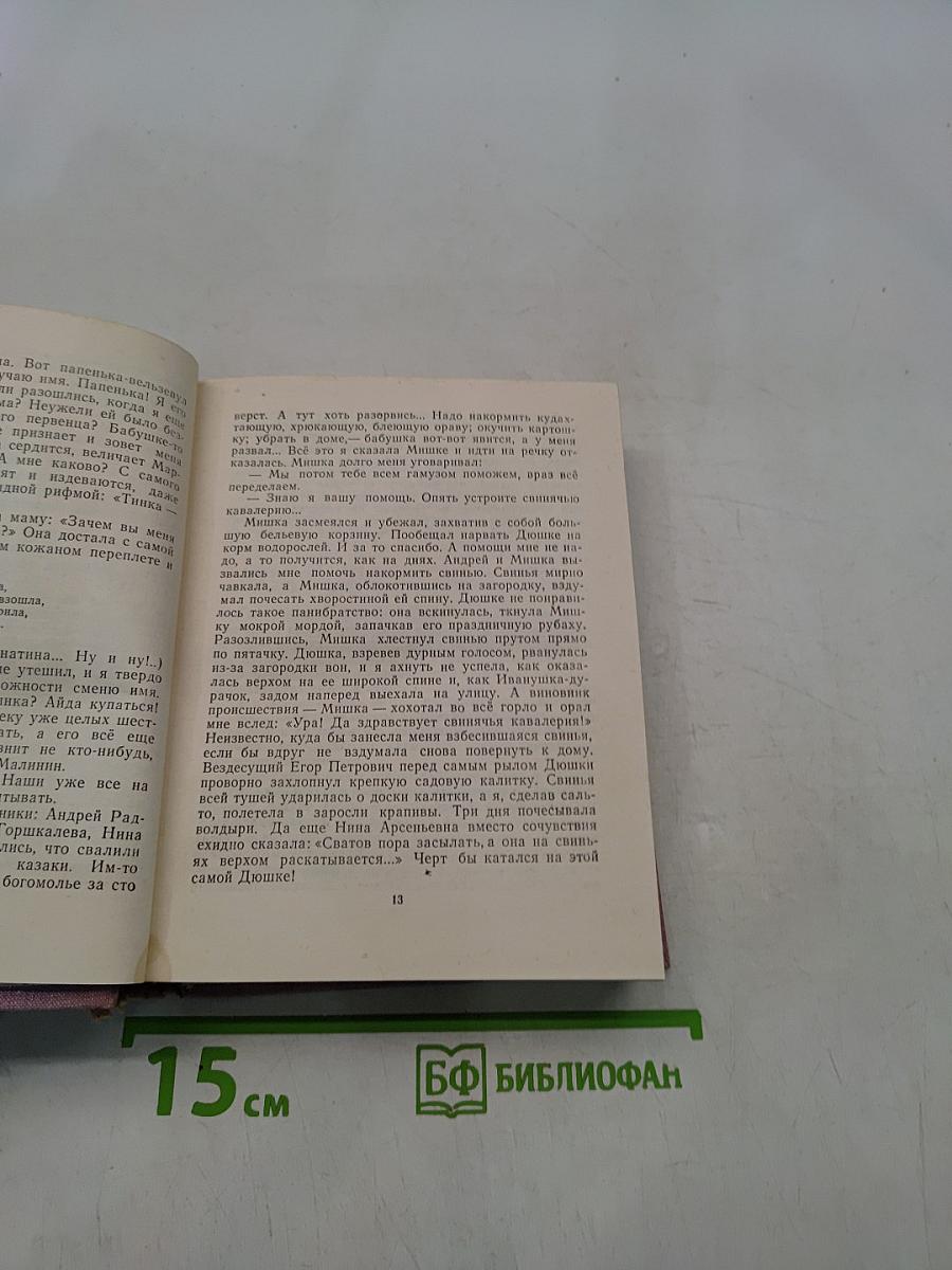 Чижик-птичка с характером