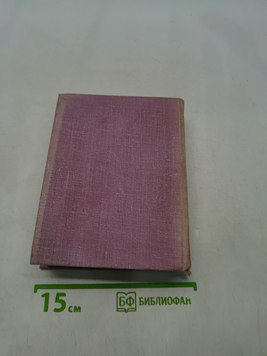 Чижик-птичка с характером