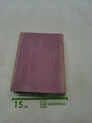Чижик-птичка с характером
