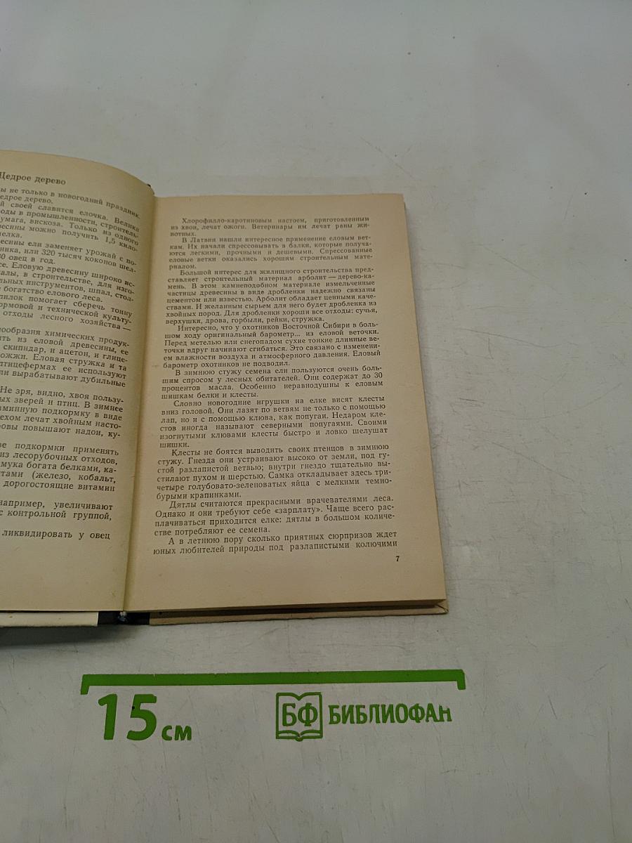 В стране зеленой