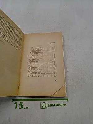 Микеланджело