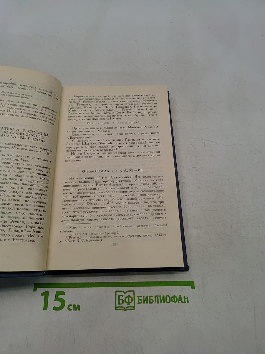 Критика и публицистика