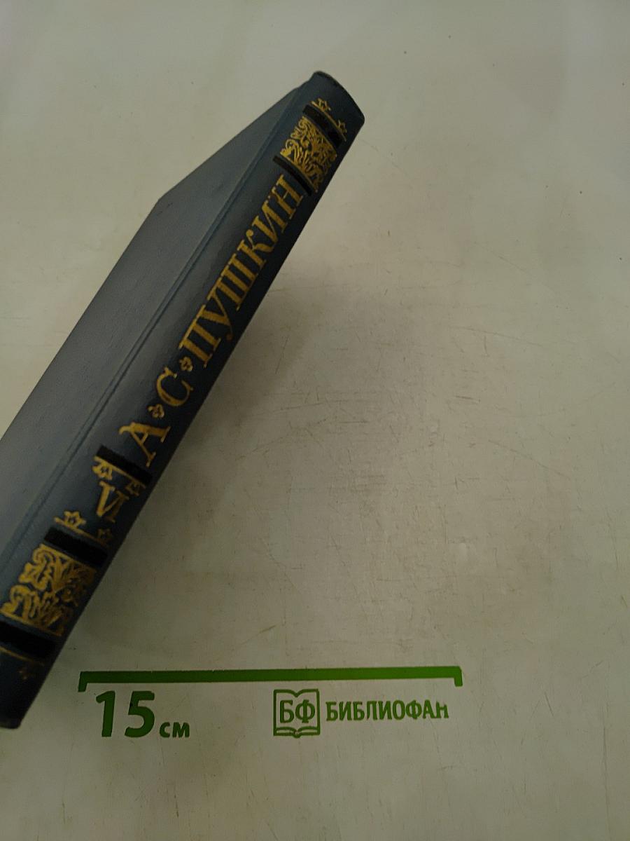 Критика и публицистика