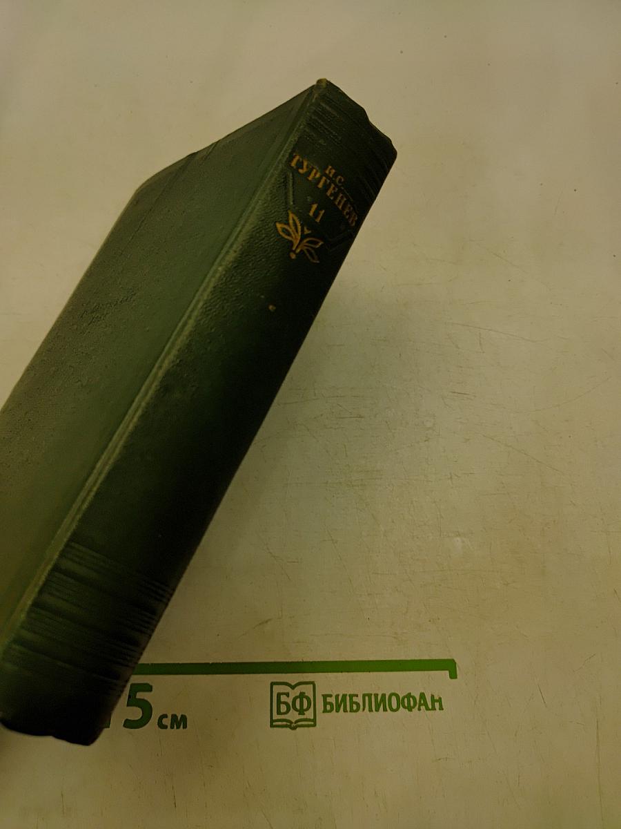Собрание сочинений. Том 11. Литературно-критические статьи и речи. Биографические очерки и заметки