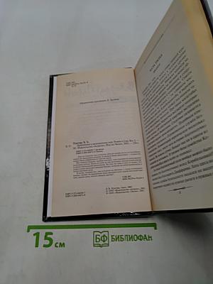 Любовники в заснеженном саду. Книга вторая