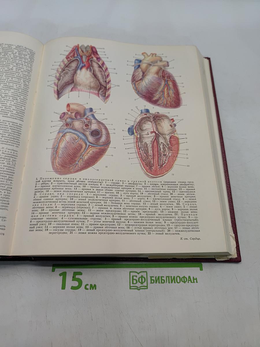 Большая Советская Энциклопедия. Том 23. Сафлор — Соан