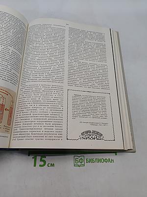 Наука и человечество. 1977. Международный ежегодник