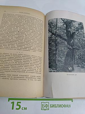 Жизнь растений