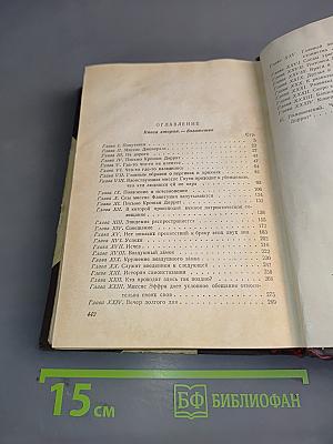 Крошка Доррит. Книга вторая. Богатство
