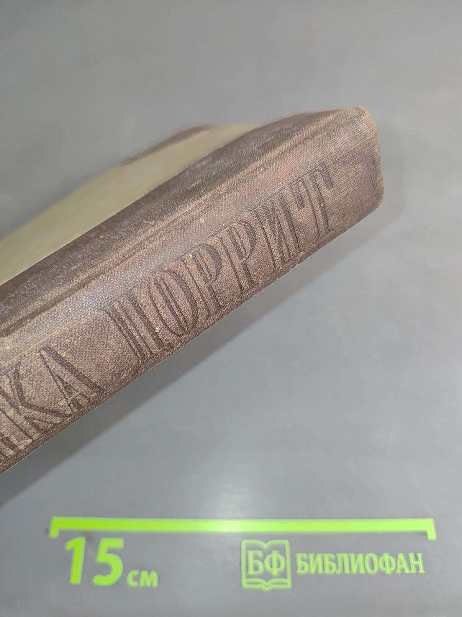 Крошка Доррит. Книга вторая. Богатство
