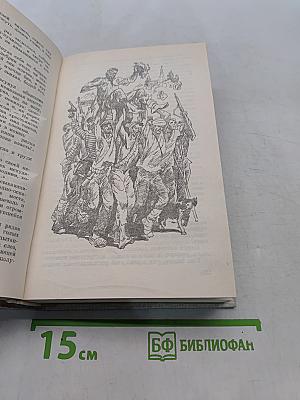 В огненном кольце