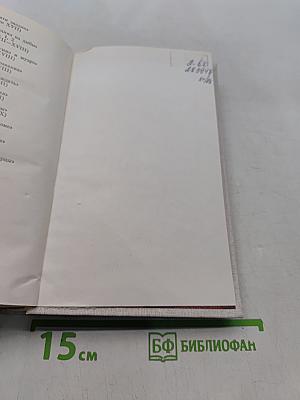 В огненном кольце